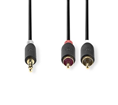 3.5mm jack naar 2x RCA kabel 3m CABW22200AT30