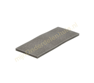 Bosch motorfilter van stofzuiger 17000301