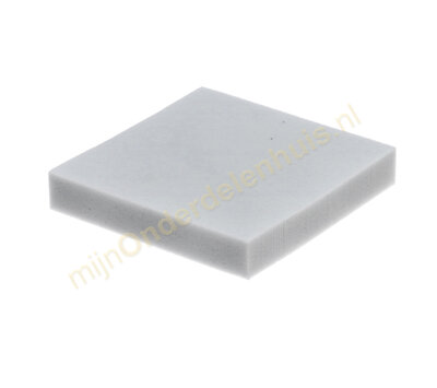 Bosch filter van stofzuiger 12011363