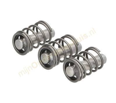 Karcher zuiger set van hogedrukreiniger 9.001-320.0