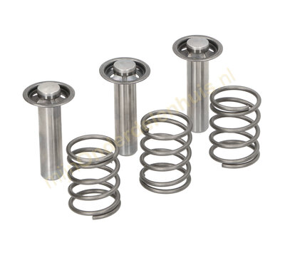 Karcher zuiger set van hogedrukreiniger 9.001-320.0