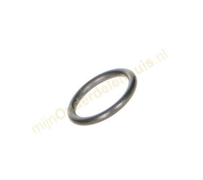 Karcher O-ring van hogedrukreiniger 6.362-481.0