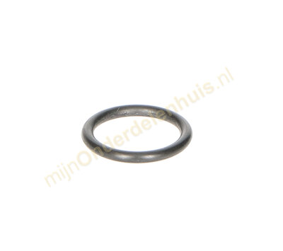 Karcher O-ring van hogedrukreiniger 6.362-481.0