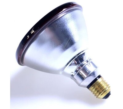 Philips infrarood lamp 150W 422210068291