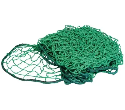 Carpoint aanhangernet 200x300cm  0923281