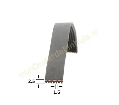 Poly-V-snaar 1930 H8