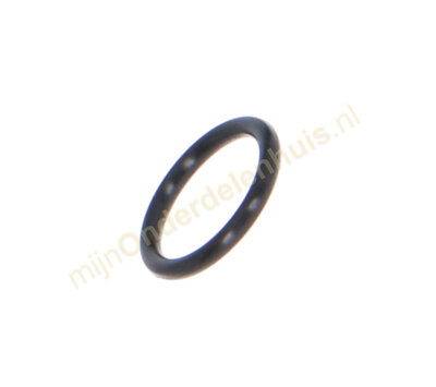 Karcher O-ring van  stoomreiniger 6.362-384.0