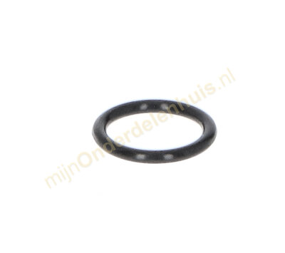 Karcher O-ring van  stoomreiniger 6.362-384.0