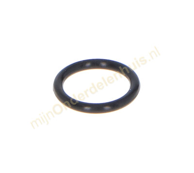 Karcher O-ring van  stoomreiniger 6.362-384.0