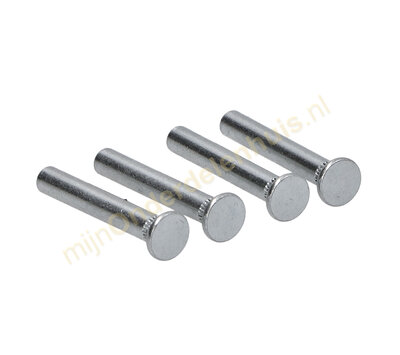 Liebherr scharnierstift van koelkast 9096214