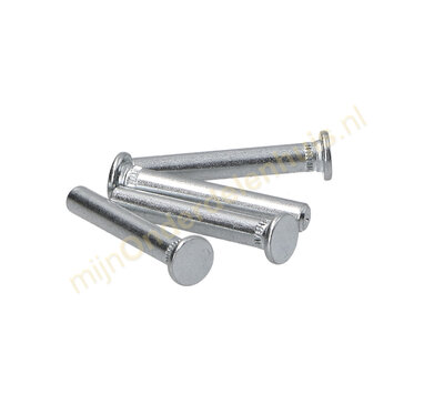 Liebherr scharnierstift van koelkast 9096214