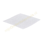 Philips Philips motorfilter van stofzuiger 432200494501