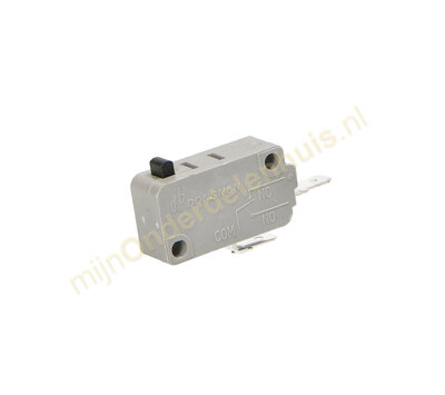 Pelgrim microswitch van magnetron 563873