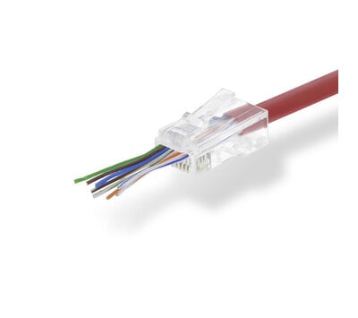 RJ45 connector Solid UTP CAT6 Male CCBW89355GY