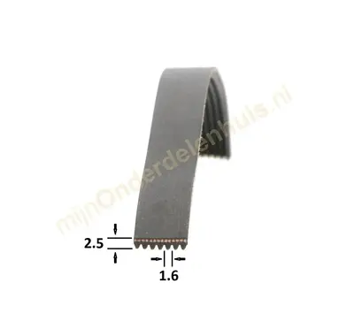 Poly-V-snaar 1966 H9 TEM