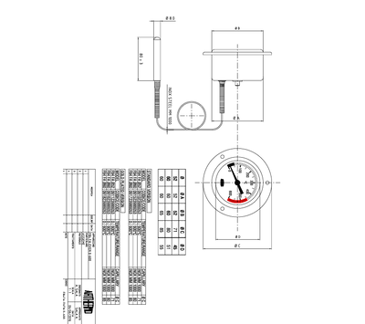 ARthermo thermometer voor pizzaoven 0-600°C F84