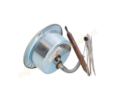 ARthermo thermometer voor pizzaoven 0-500°C F84