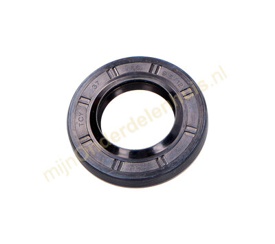 LG simmering van wasmachine 4036ER2003A 37x66x9.5/12