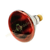 Philips Philips infrarood lamp E27 -150W 422210068291