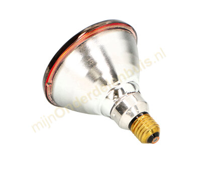 Philips infrarood lamp E27 -150W 422210068291