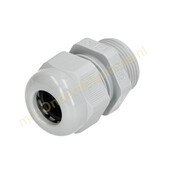 OBO OBO wartel PG16 voor kabeldoos 7/14mm 2022656