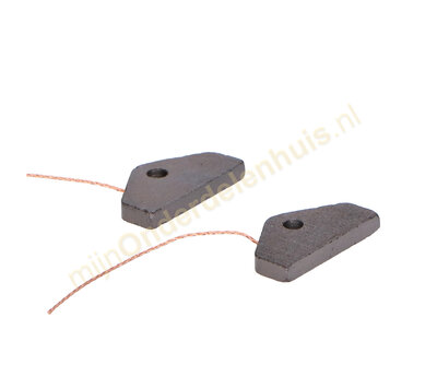 Miele koolborstel van wasdroger 4490382