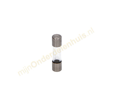 Universele glaszekering 4.0 Amp 5x20 mm snel (10st)