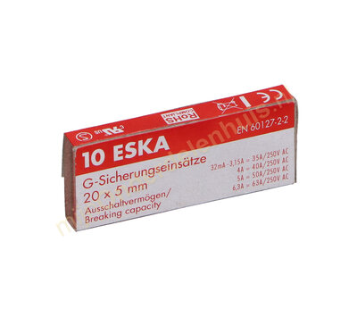 Universele glaszekering 6.3Amp 5x20mm snel(10st)