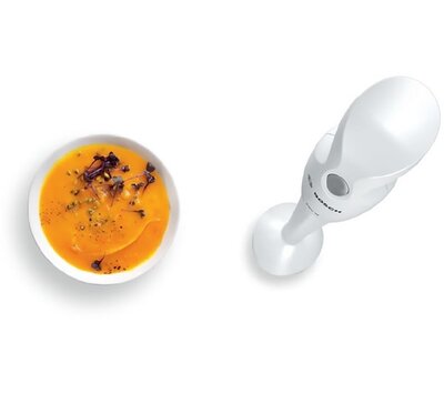 Bosch staafmixer MSM6B100