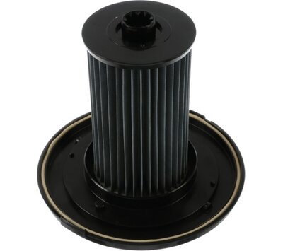 Bosch filter van stofzuiger 12027830