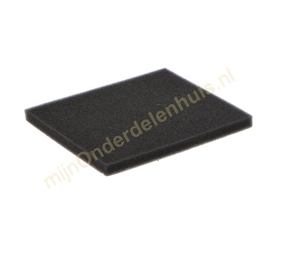 Philips motorfilter van stofzuiger 422245946171