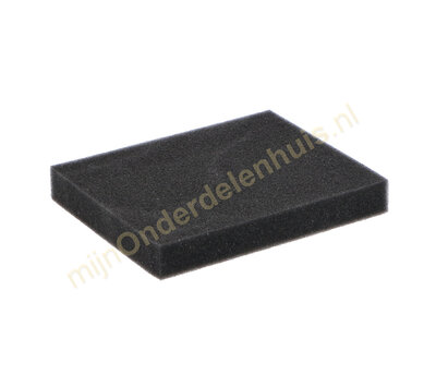 Philips motorfilter van  stofzuiger 432200039331