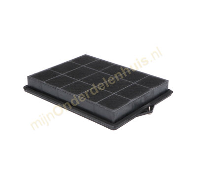 Universeel koolstoffilter van afzuigkap C00384275 484000008693