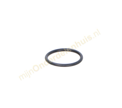 Karcher O-ring van hogedrukreiniger 9.080-494.0