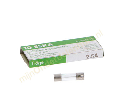 Universele glaszekering 2.5Amp 5x20mm traag