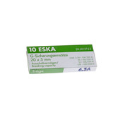 Eska Universele glaszekering 6.3Amp 5x20mm traag