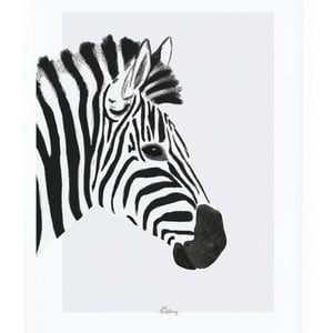 Lilipinso Zebra poster