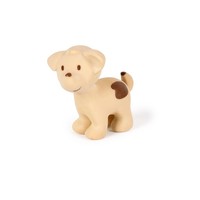 Hond bad/bijtspeeltje met rammelaar