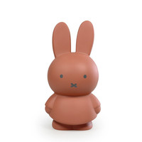 Nijntje spaarpot terra