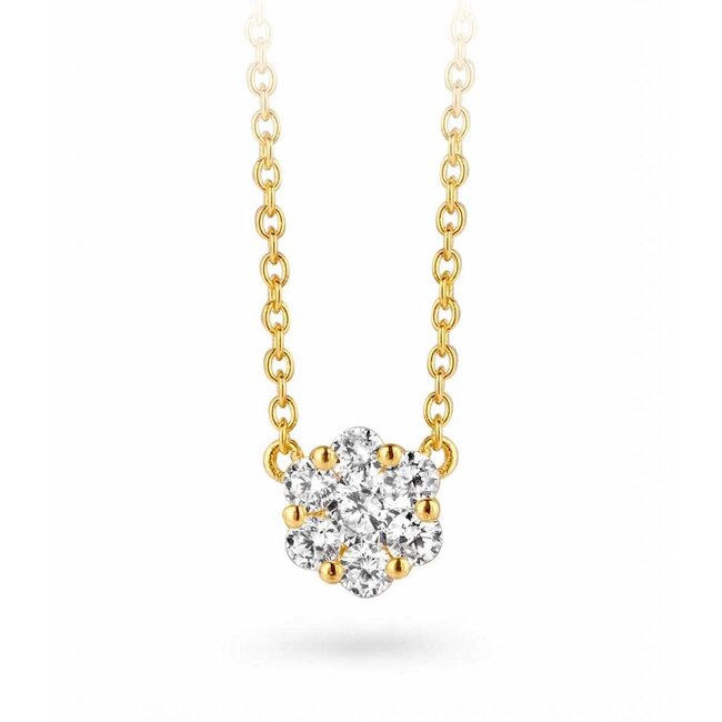 Silver Rose Halsketting Oreilla