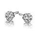 Silver Rose Boucles d'oreilles Zirconia Flower