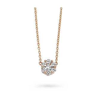 Silver Rose Halsketting Anouk