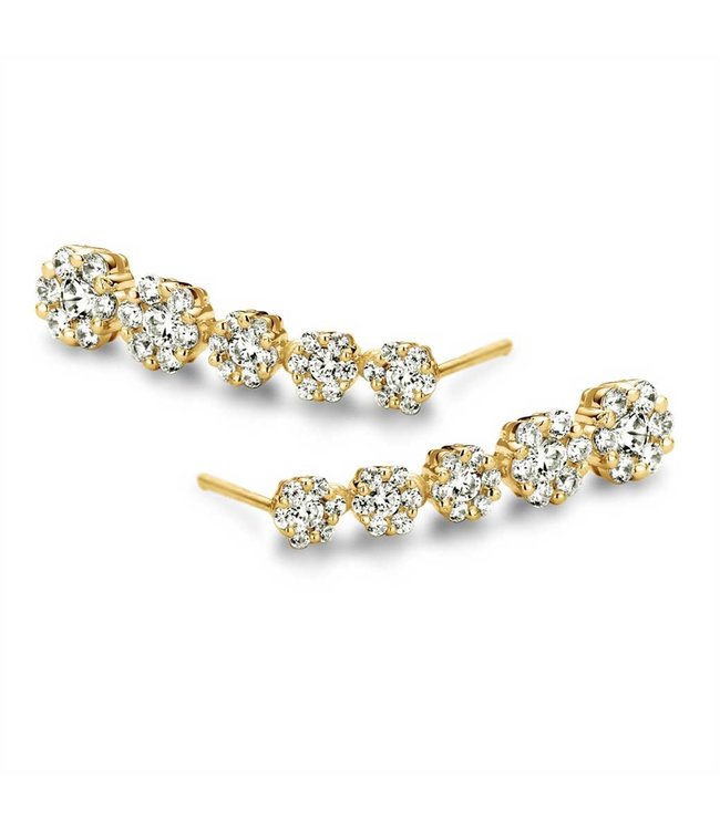 Silver Rose Silver rose - Oorring