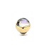 MelanO TW Shell Abalone
