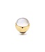 MelanO TW Shell Seashell