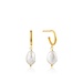 Ania Haie Oorring Pearl mini hoop gold