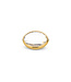 MelanO TW leaf Crystal