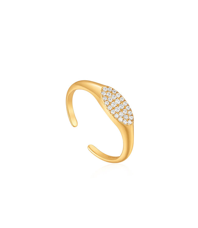 Ania Haie Ring Glam Adjustable signet