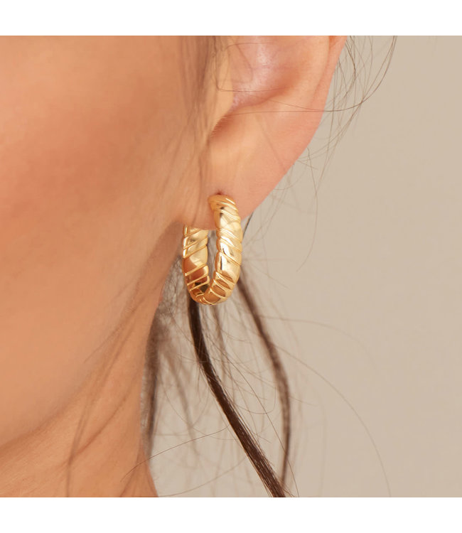 Ania Haie Oorring Twist Hoop