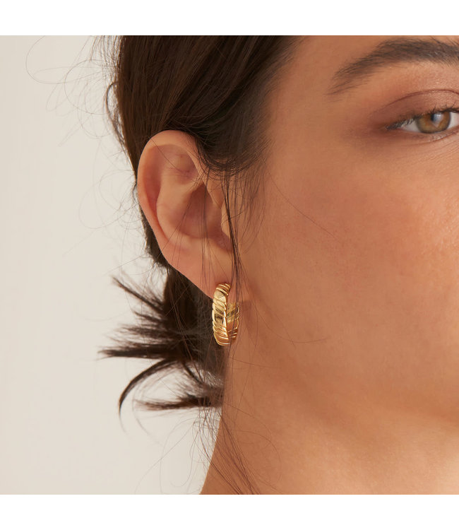 Ania Haie Oorring Twist Hoop